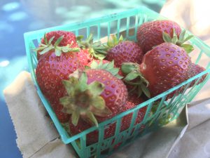 Ein Motto in San Francisco lautet "Eat Local". Diese Bio-Erdbeeren sind von einem lokalen Betrieb.